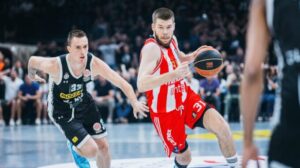 ΕΡΥΘΡΟΣ ΑΣΤΕΡΑΣ ΠΑΡΤΙΖΑΝ WILD CARD